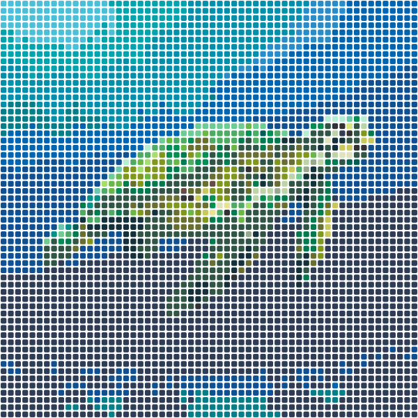 Coral Reef Turtle Perler Bead Pattern perler bead pattern — 58×58, 3364 beads